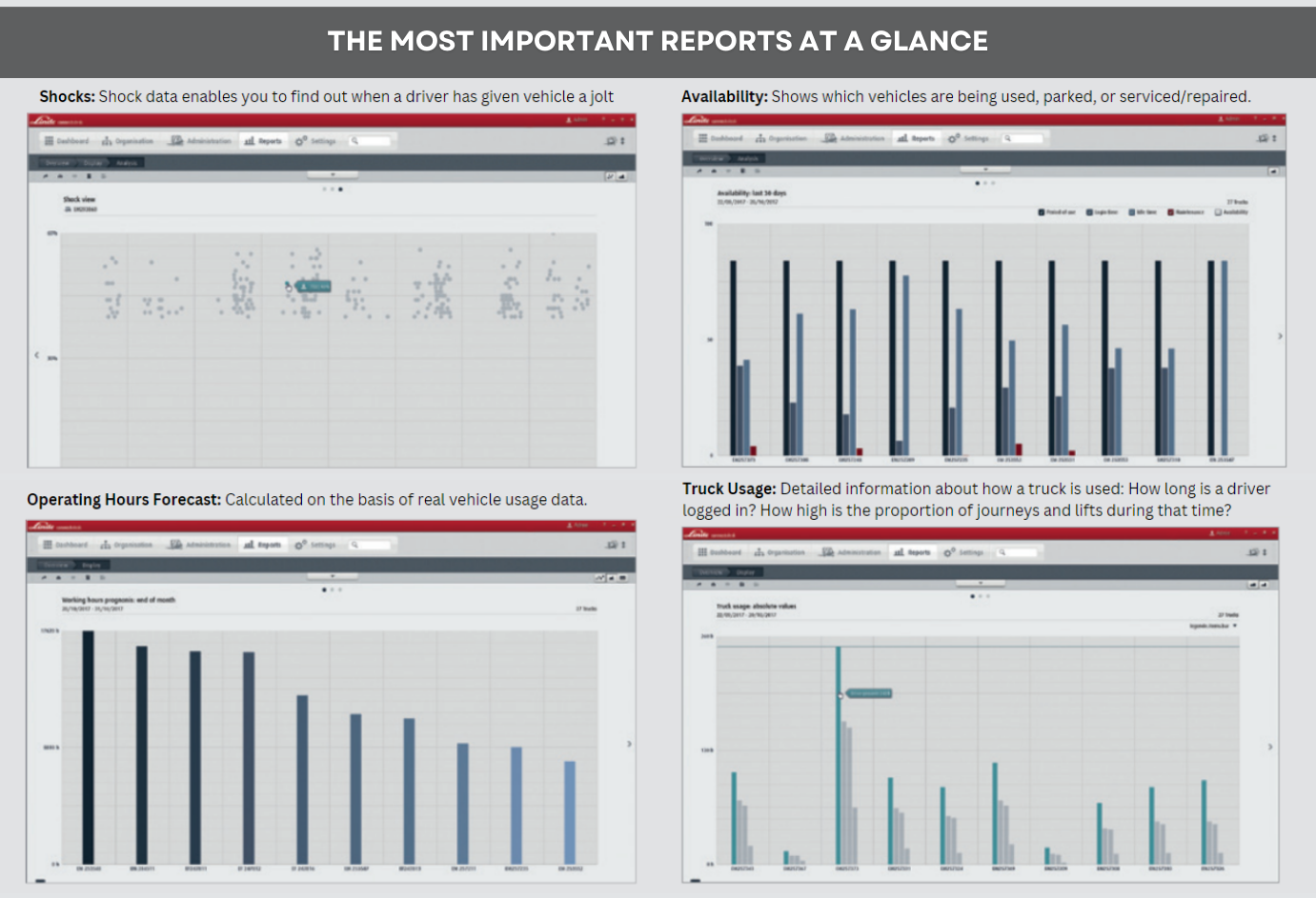 Important Reports At A Glance